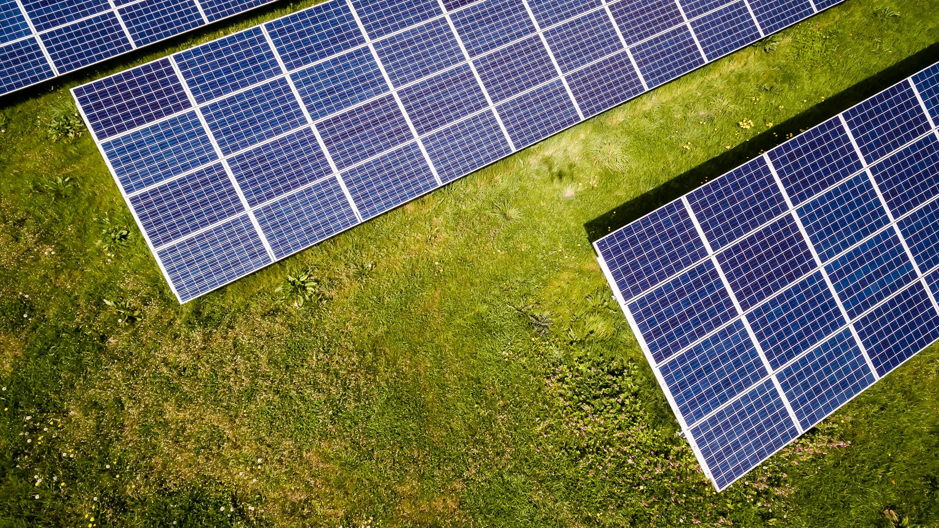 How Businesses Can Profit from Solar Energy